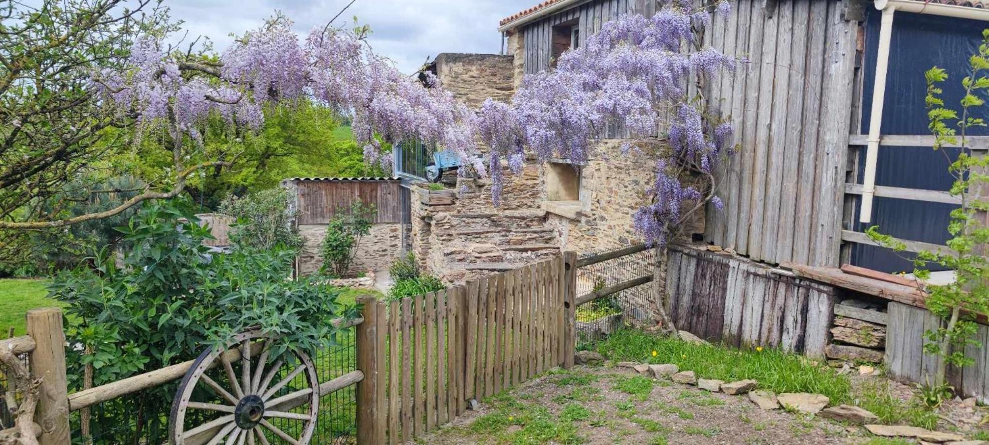 Aux Yourtes De La Fabrique Saint-Florent-des-Bois Luaran gambar